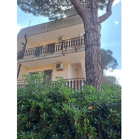 Lejlighed Stunning In Via Dei Lauri *